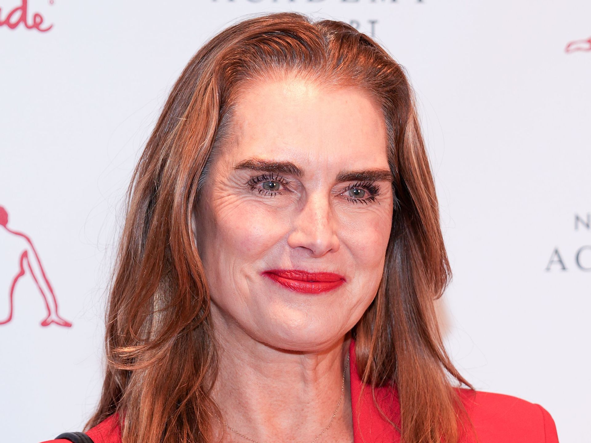 Brooke Shields Arrivals Take Home Nude Art Party Auction Off