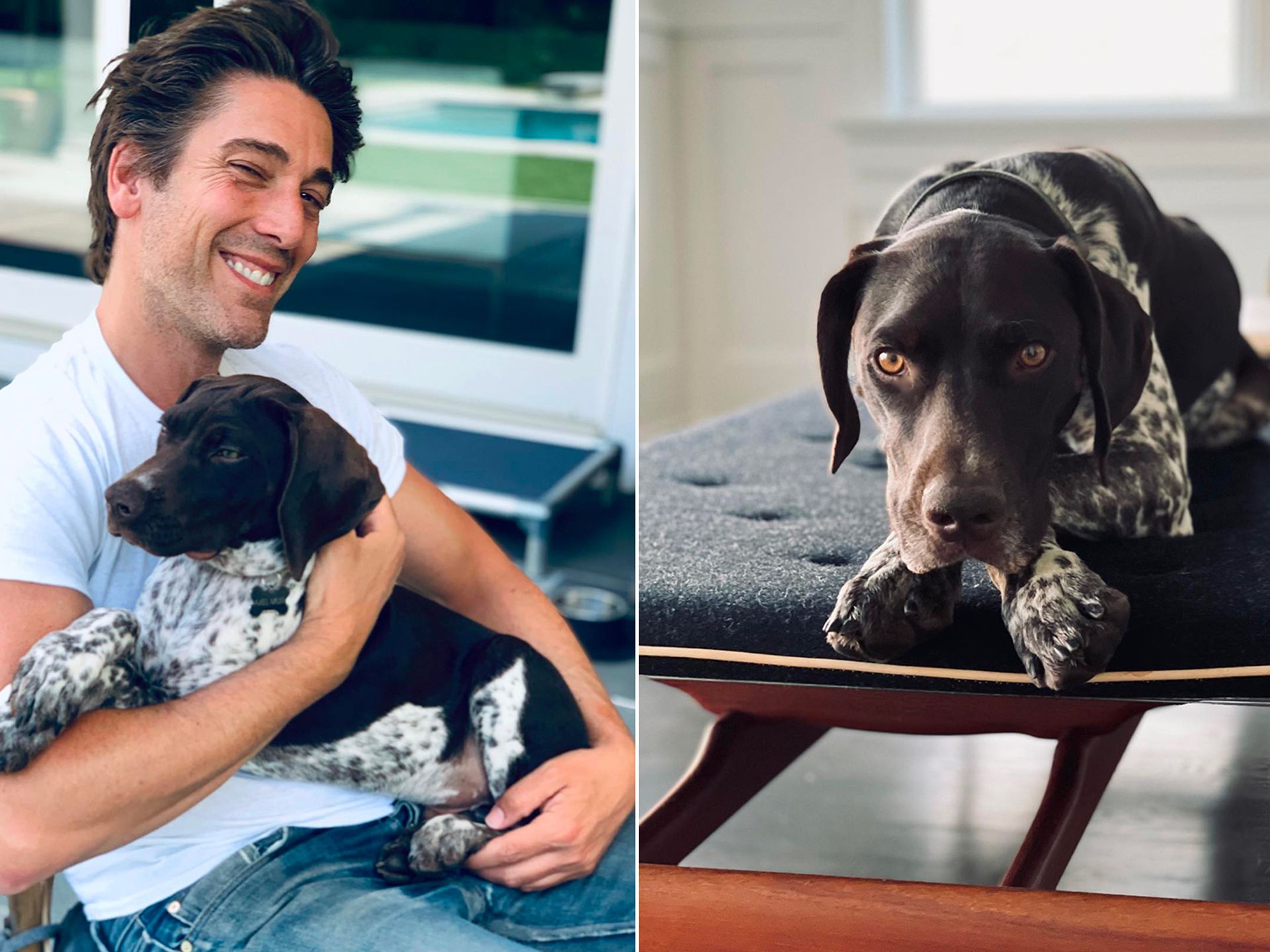 Inside David Muir's ultra-stylish living room at his $7million New York  home | HELLO!