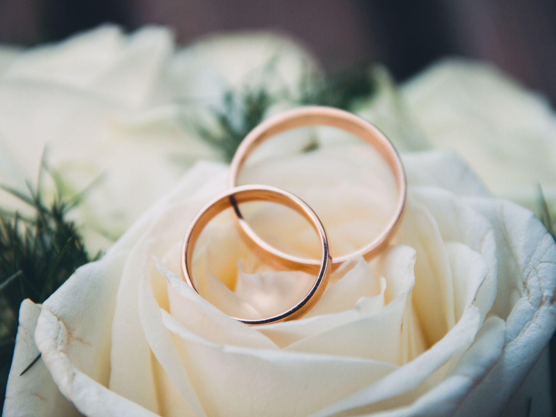 Elegant Wedding and Engagement Rings in Gold | KLENOTA