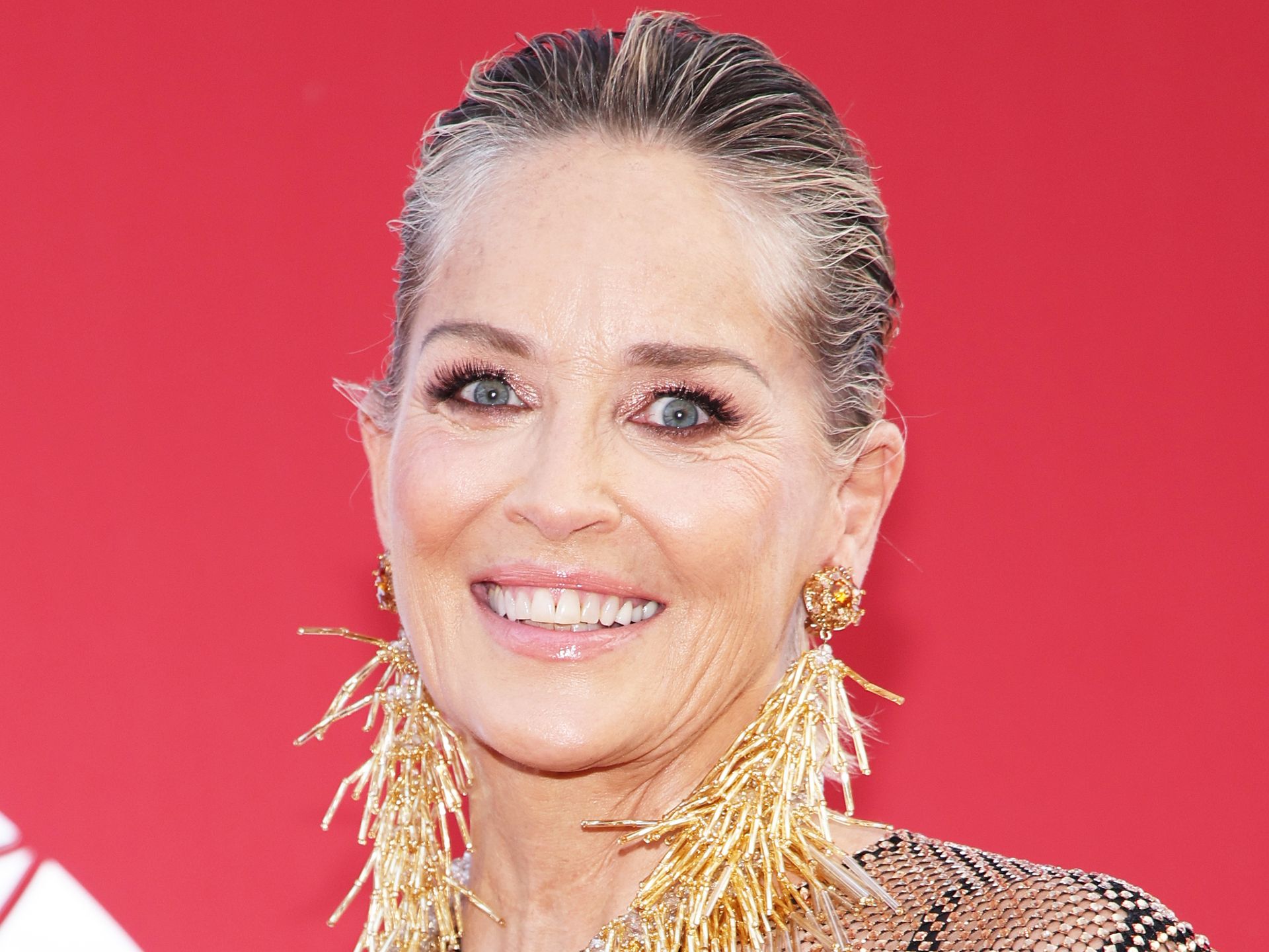 Sharon Stone, 66, is a total vision in sheer glittering dress following  incredible achievement | HELLO!