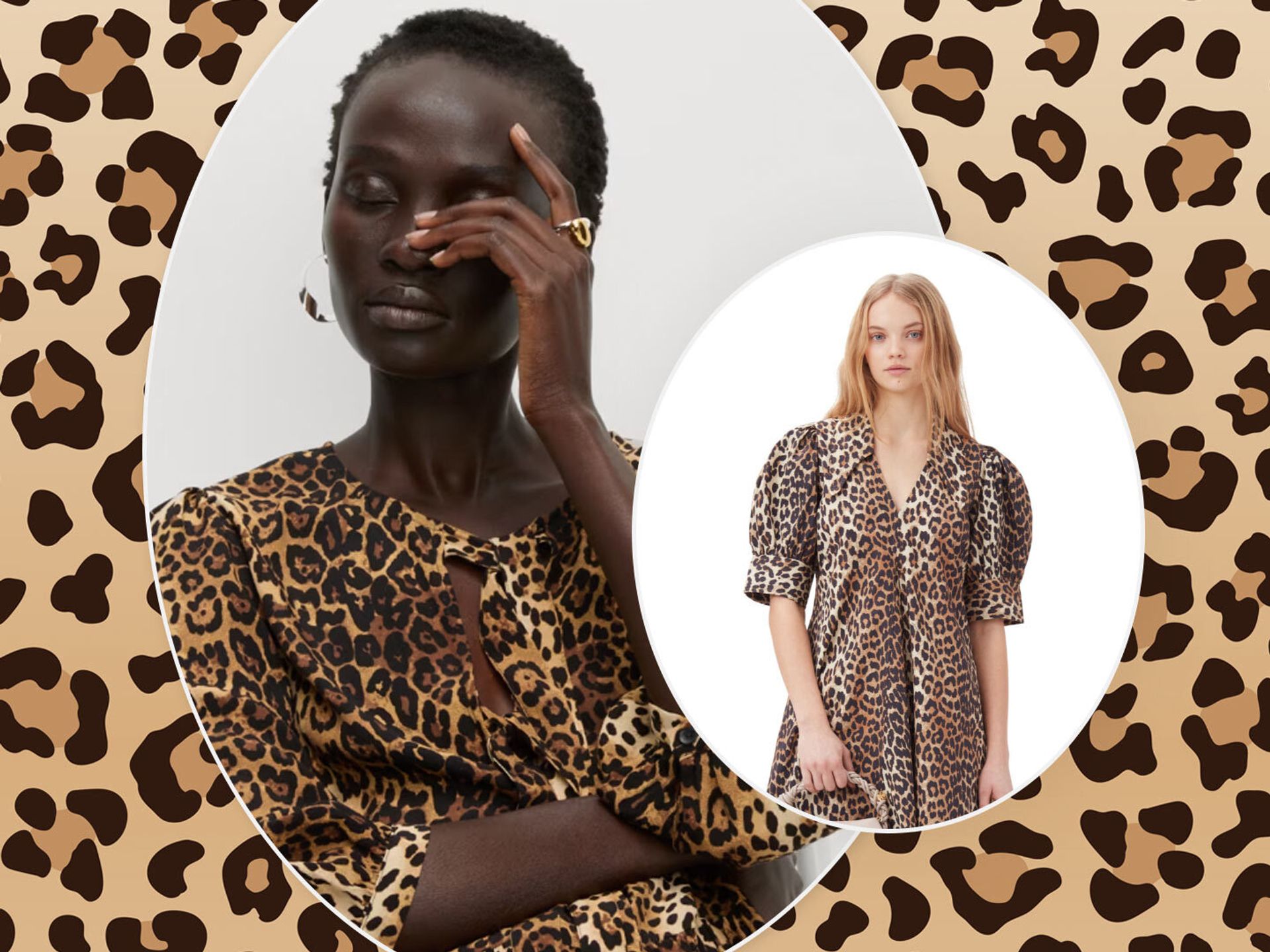 Animal print dress m&s best sale