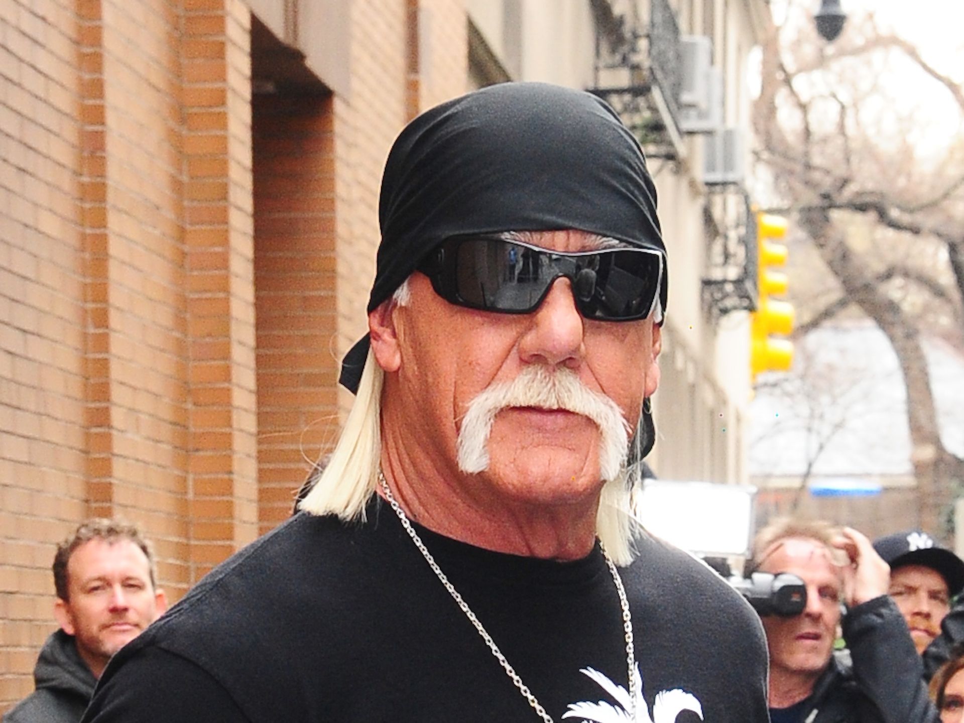 Hulk Hogan, 69, gets engaged to yoga instructor Sky Daily, 45, as