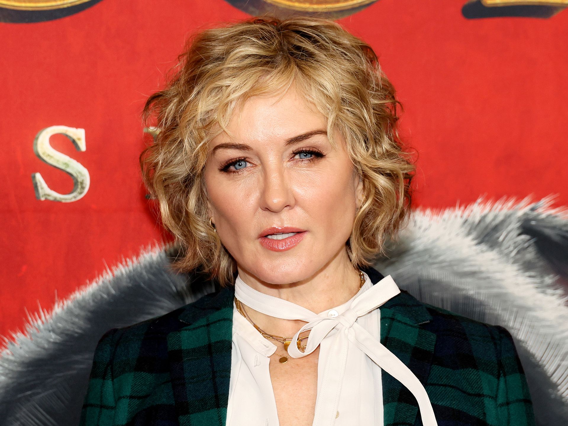 Why Linda Reagan really left Blue Bloods revealed | HELLO!