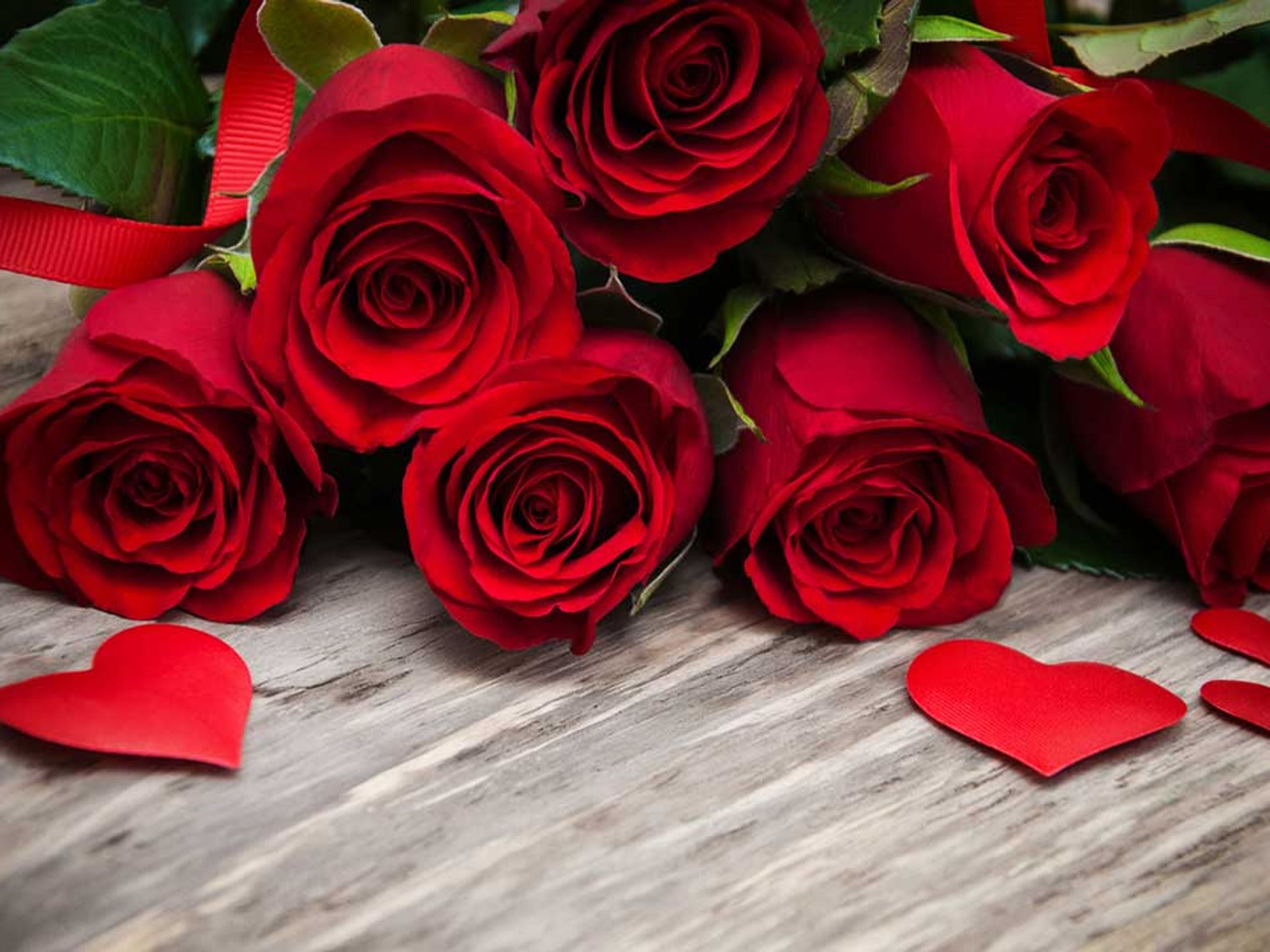 7 best roses with next day & same day delivery to surprise your loved ones