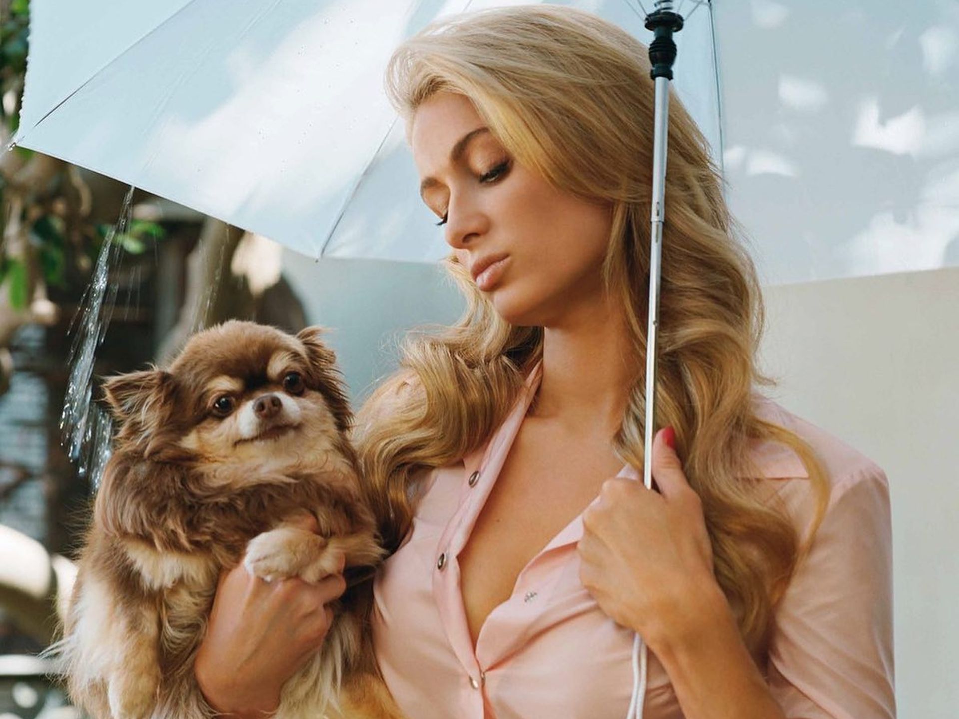 Paris Hilton in 'immense pain' after death of her beloved dog: 'I'm so  devastated' | HELLO!