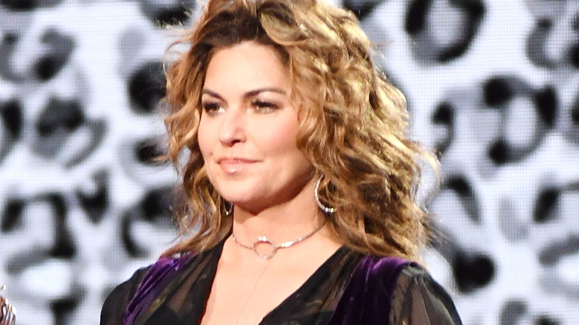 Shania Twain performing on stage in a sheer velvet dress