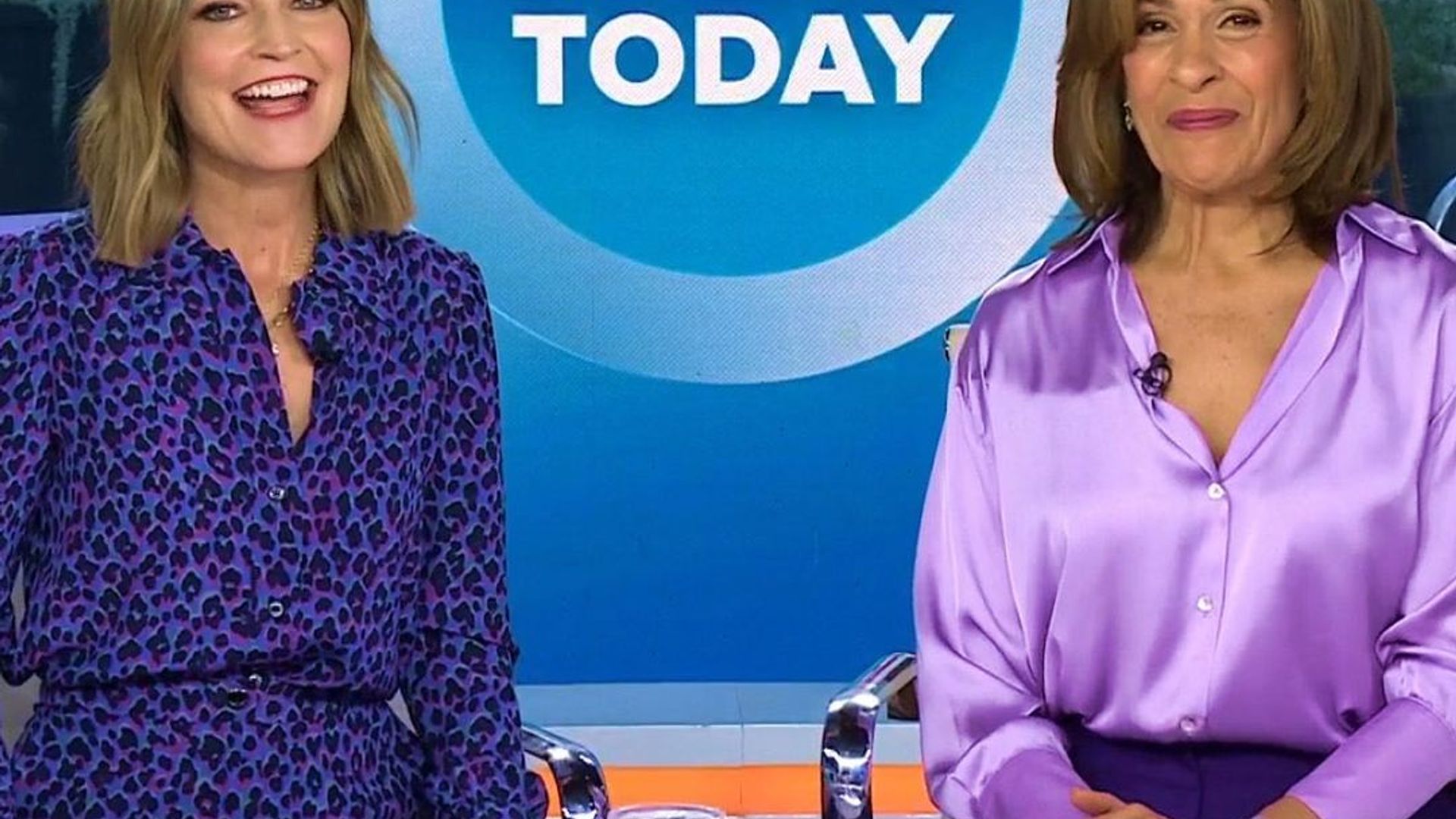 Hoda Kotb and Savannah Guthrie were also dressed in purple on Spirit Day