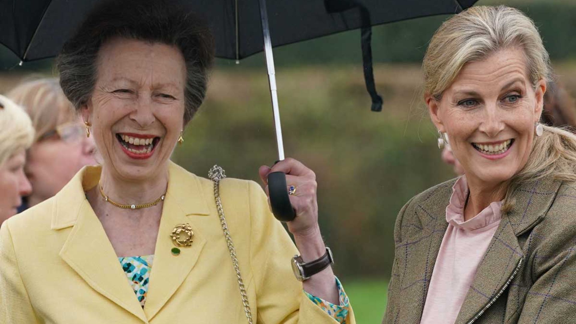 princess anne and sophie wessex