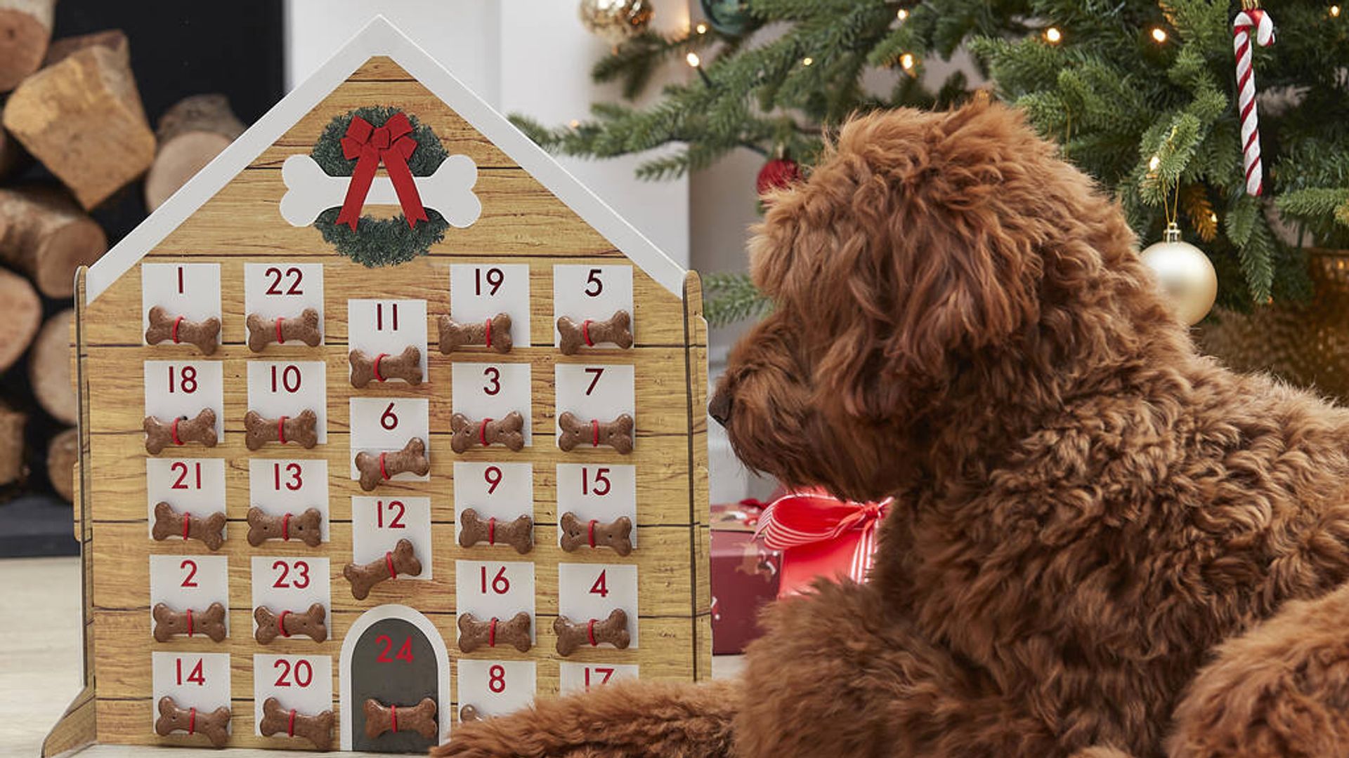 Dog advent calendar