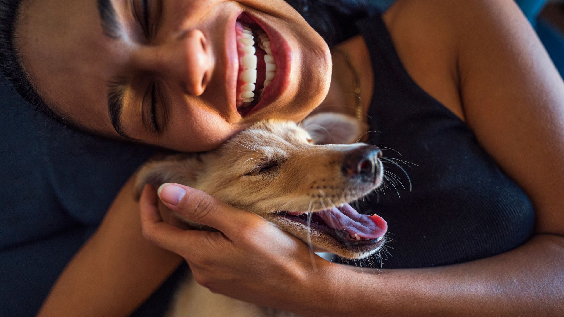7 best dog breeds that make the best companions for lonely people