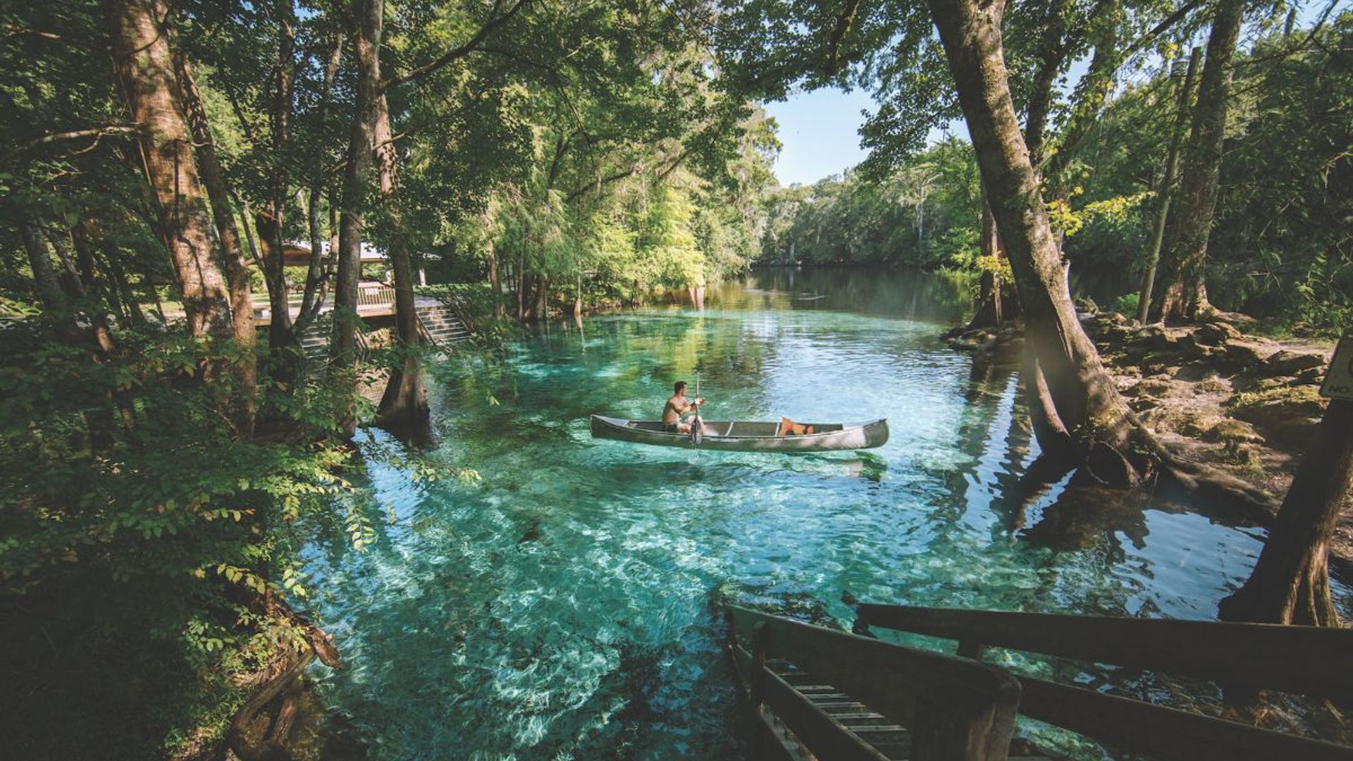 Kayak through Florida's natural springs.