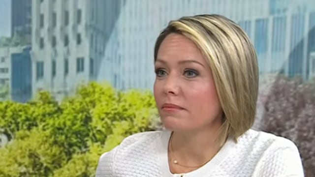 Dylan Dreyer on The Today Show