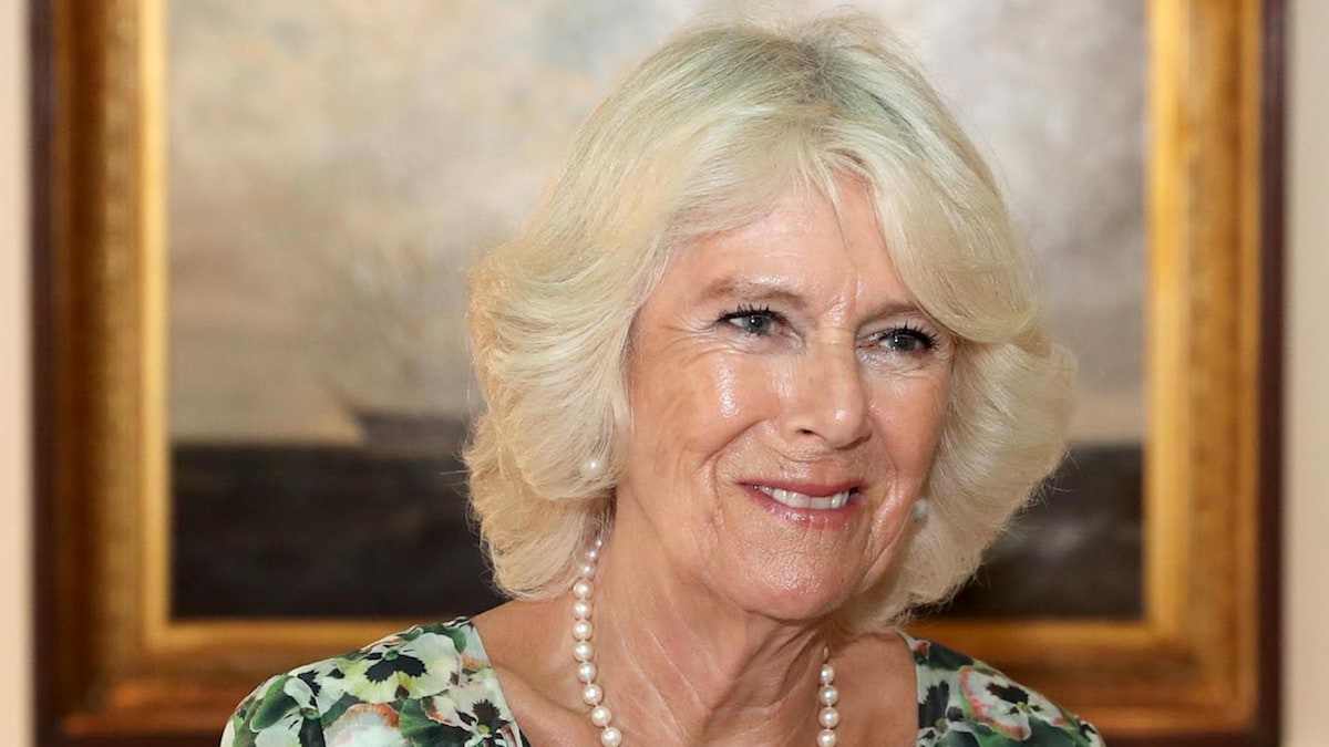 Handbag-lover Camilla just added a very swanky new design to her