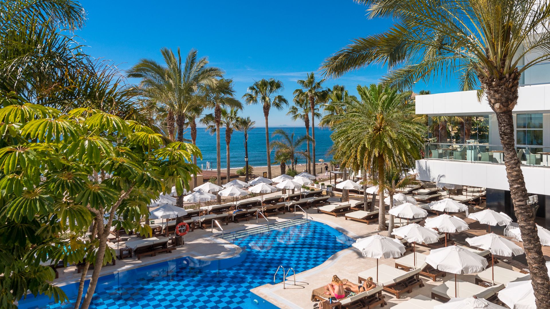 Outdoor pool terrace with sunbeds and palm trees, blue sky and ocean in the background