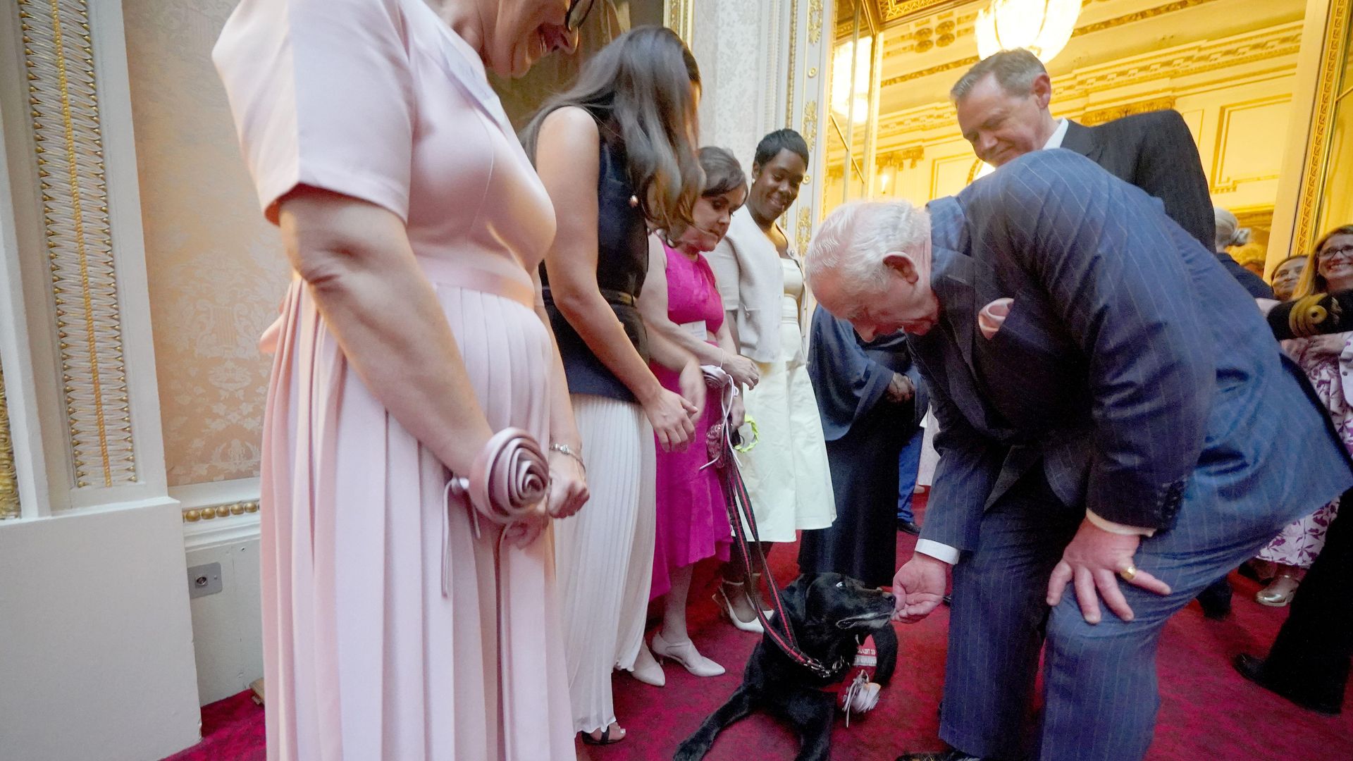 King Charles feeding a dog
