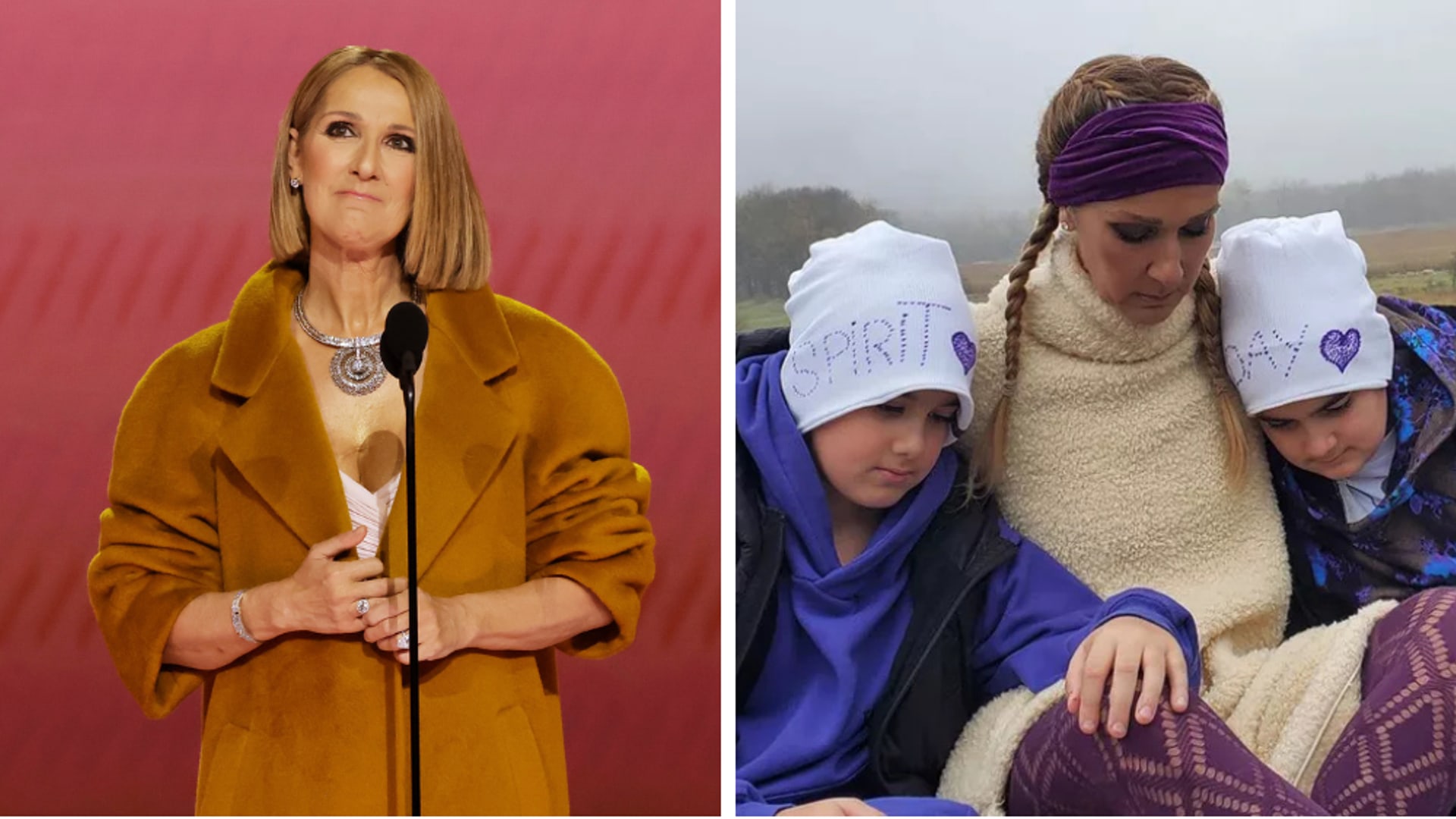 Celine Dion's twins split image