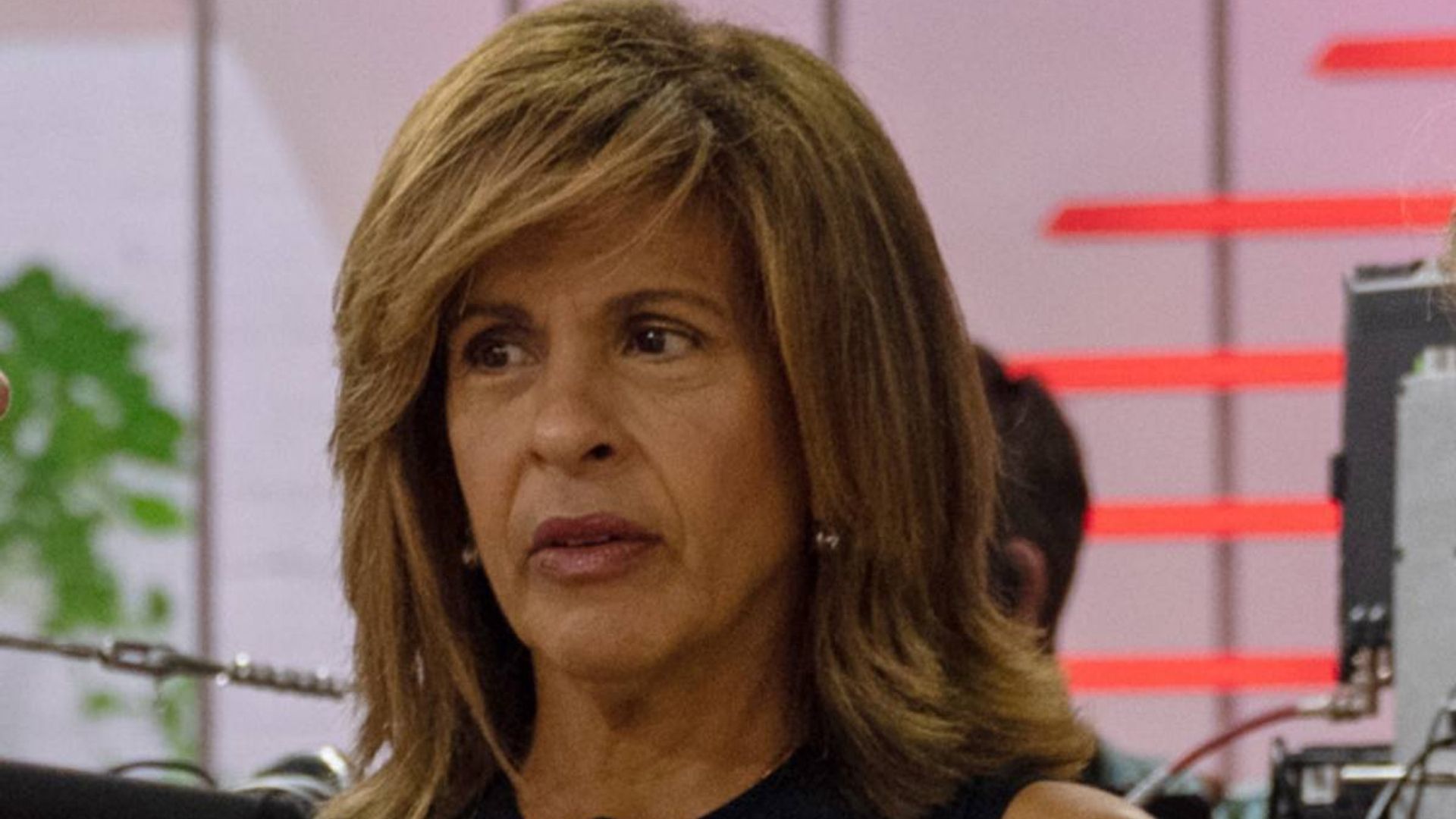 Today's Hoda Kotb Exits Talk Show To Spend Time With Daughters And 