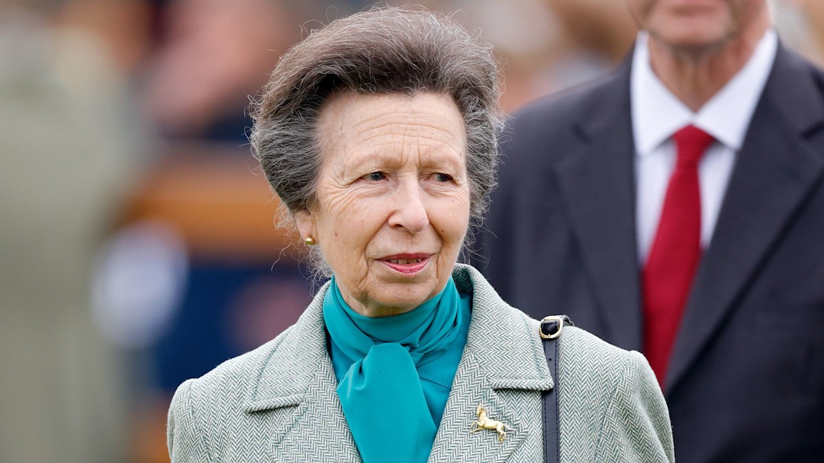 Princess Anne is unrecognisable with long hair in rare Wimbledon ...