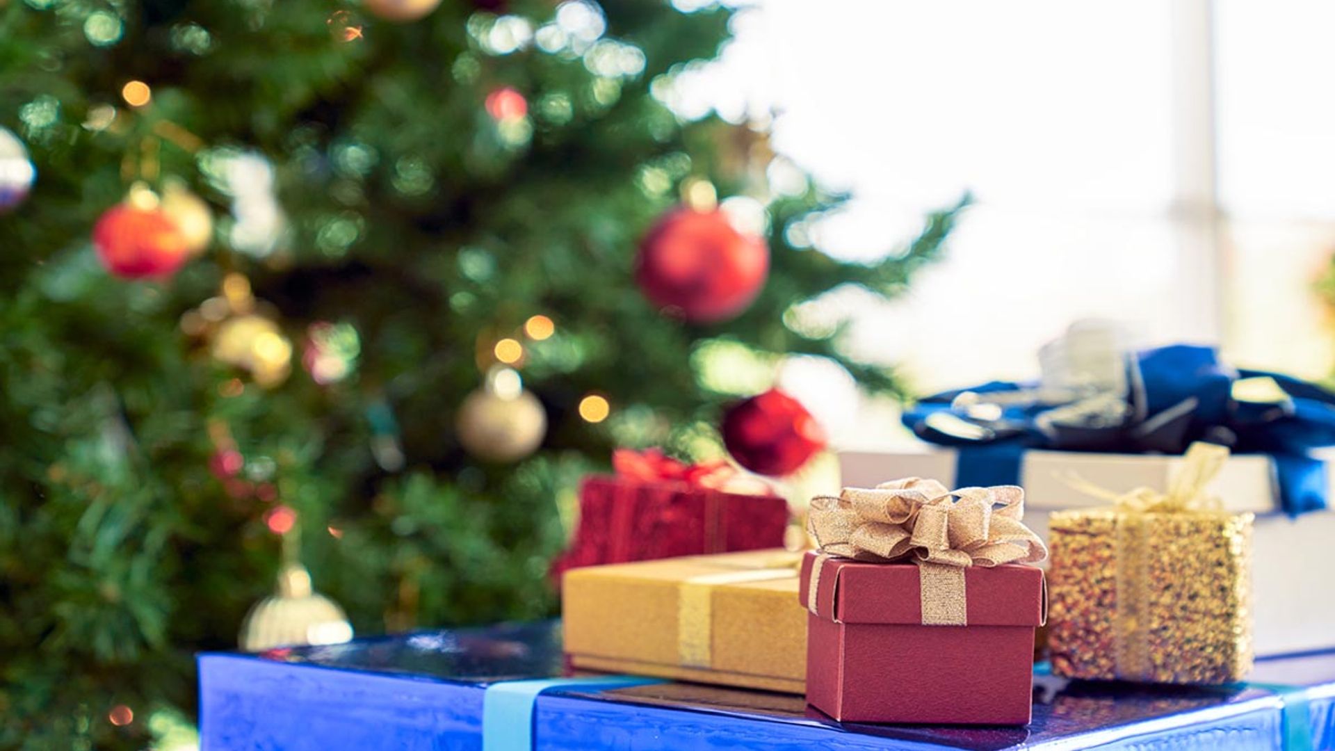 Christmas shopping: Find local gifts for everyone on your list