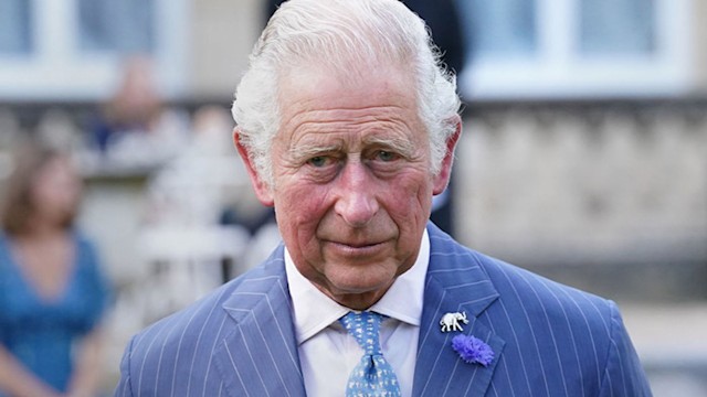 prince charles tax homes