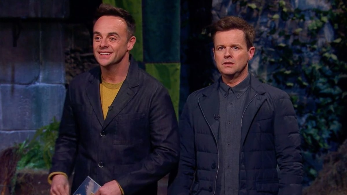 I'm a Celebrity star Declan Donnelly disappointed in Giovanna and ...