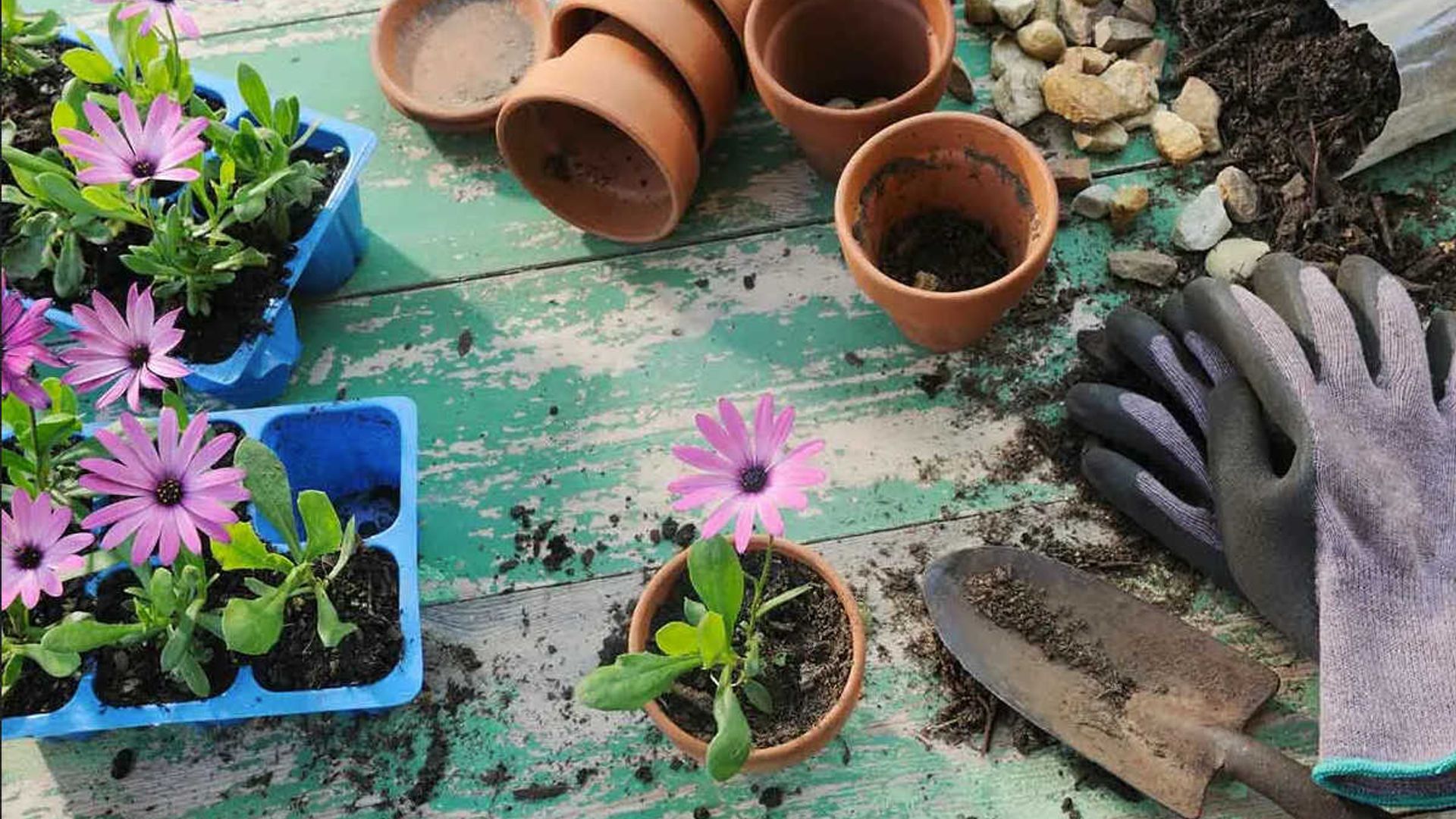 best gardening tools to shop before spring