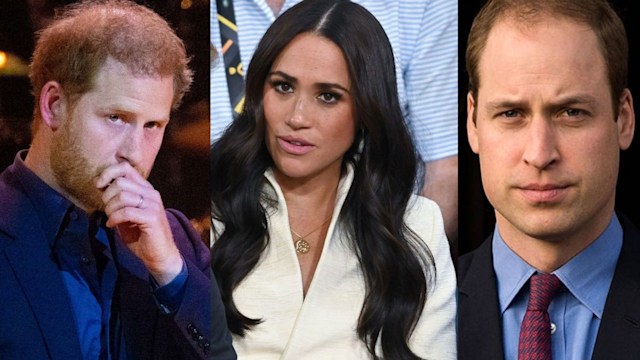 meghan harry william therapy