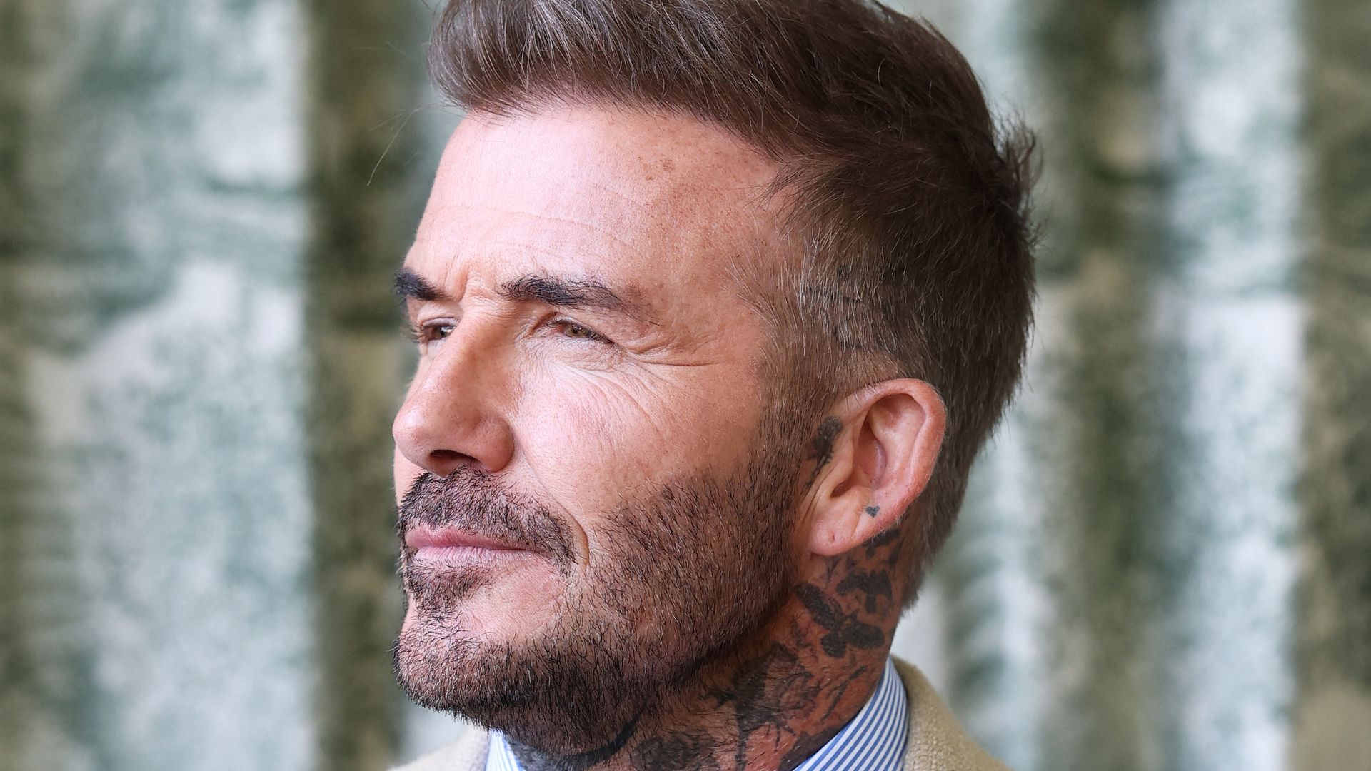 david beckham in suit at flower show 