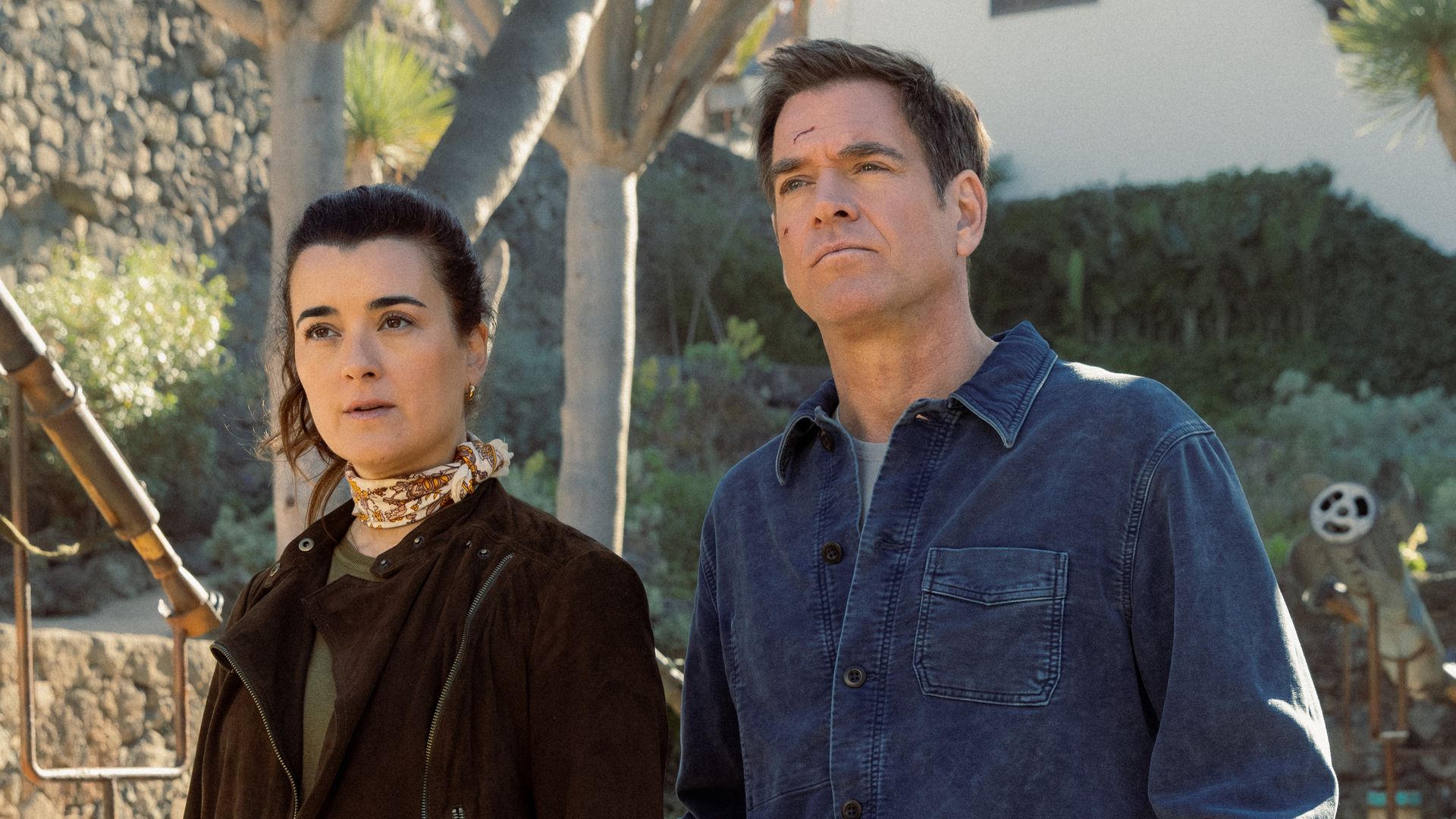 Will NCIS: Tony & Ziva have a season 2? Everything Michael Weatherly and Cote de Pablo have said