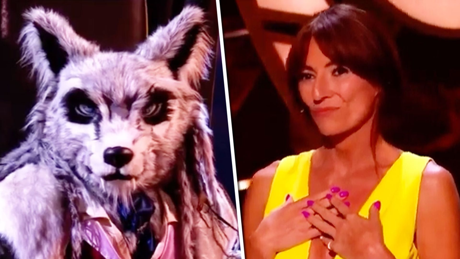 The Masked Singer fans think they know who Wolf really is