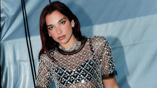 Dua Lipa poses in a crystal mesh top on her instagram