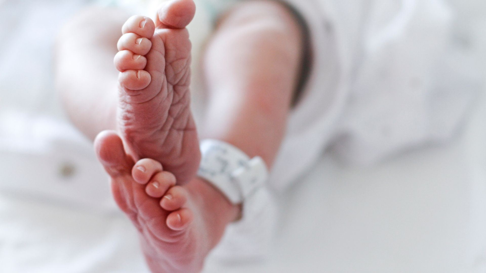 Newborn baby boy at hospital with identity tag on feet, close up