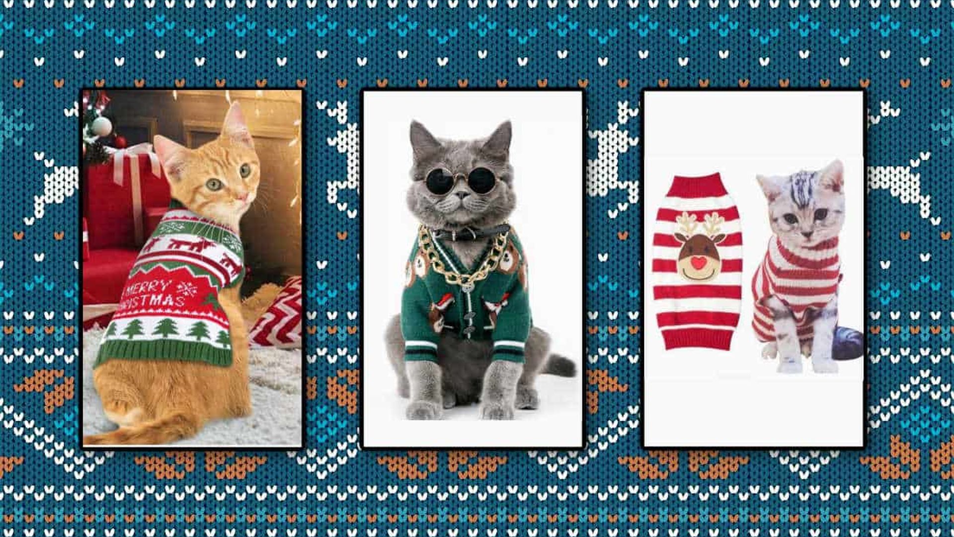best cat christmas jumpers for your pet 1