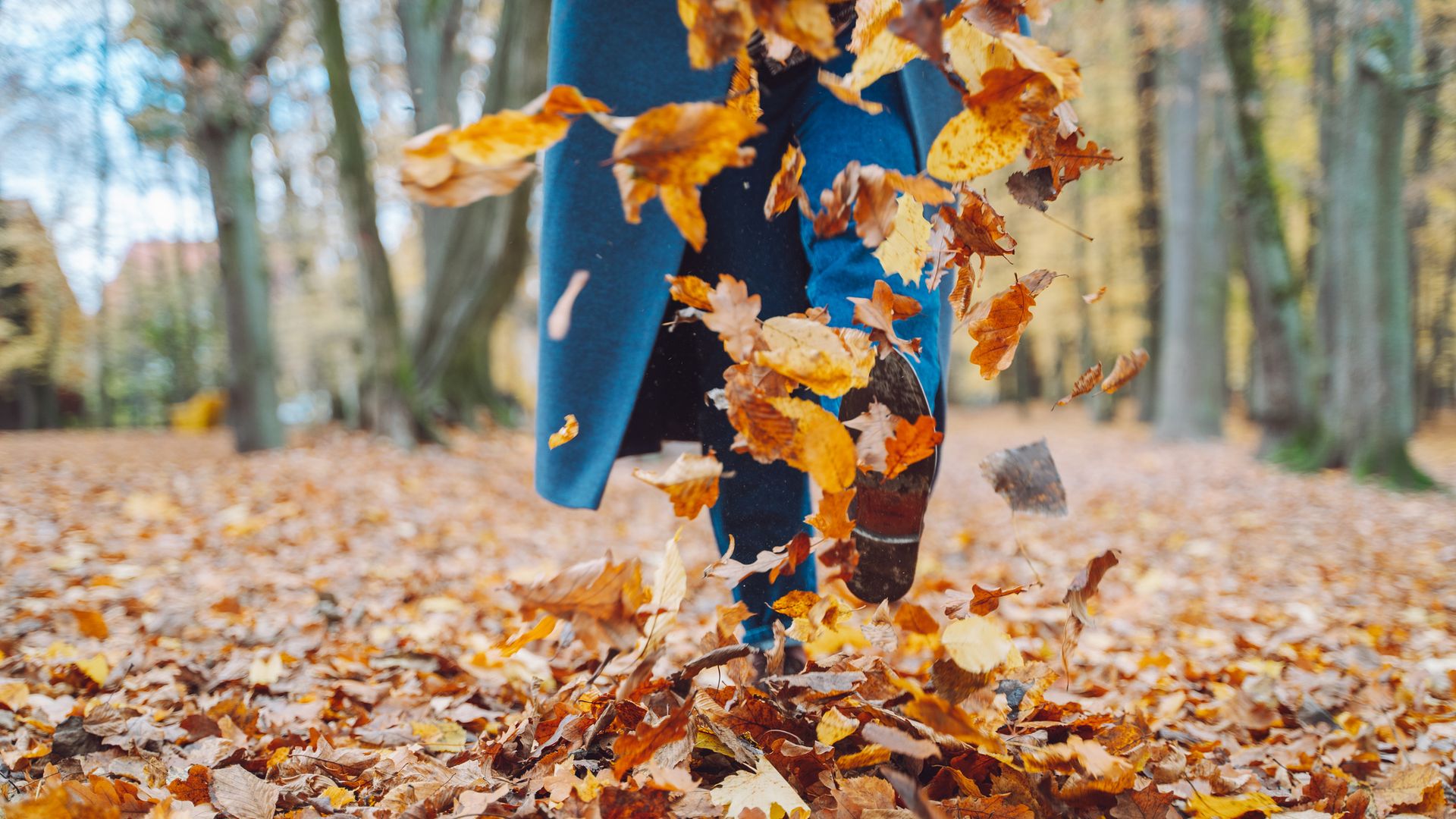 woman legs playing and throwing maple leaves in the park.