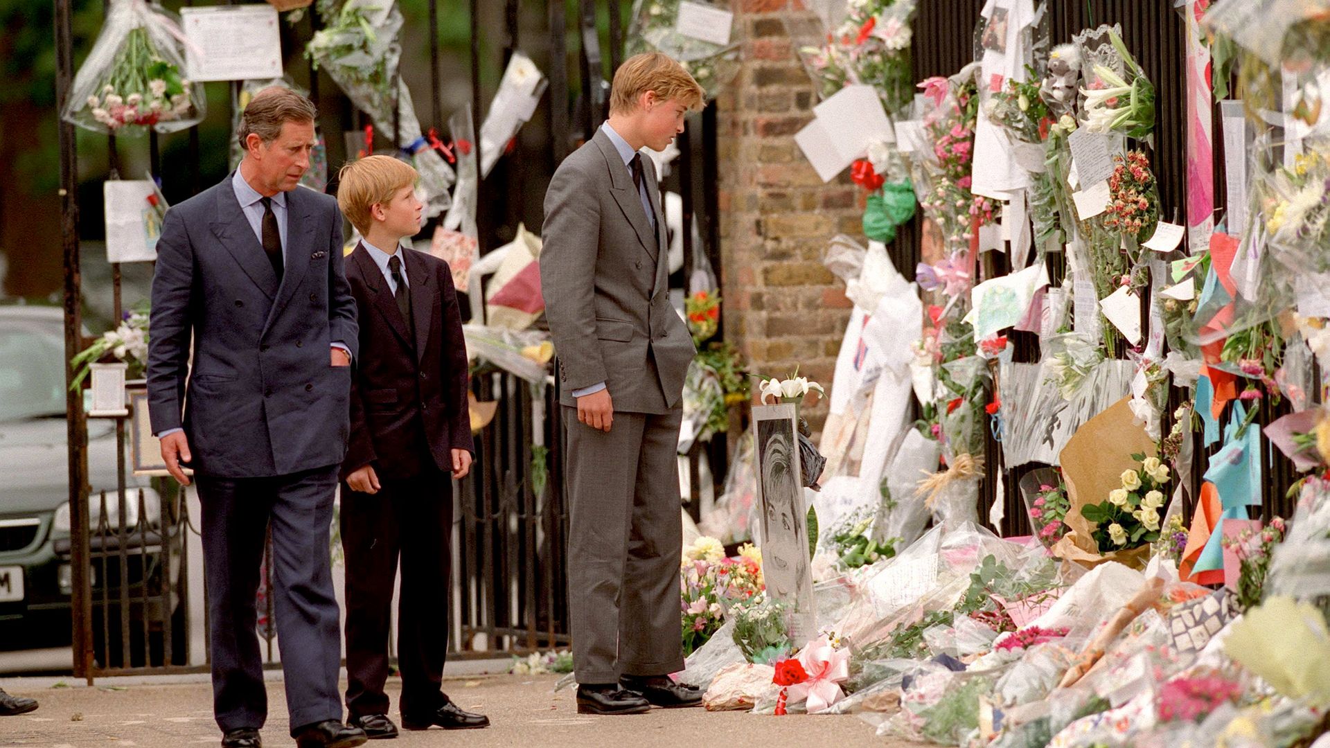 The trip Prince William was meant to have taken the day Princess Diana died revealed by royal pilot