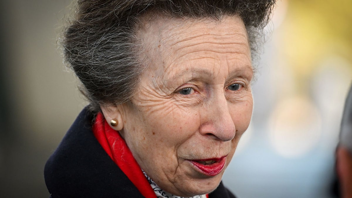 Princess Anne stuns with stylish outfit on surprise visit | HELLO!