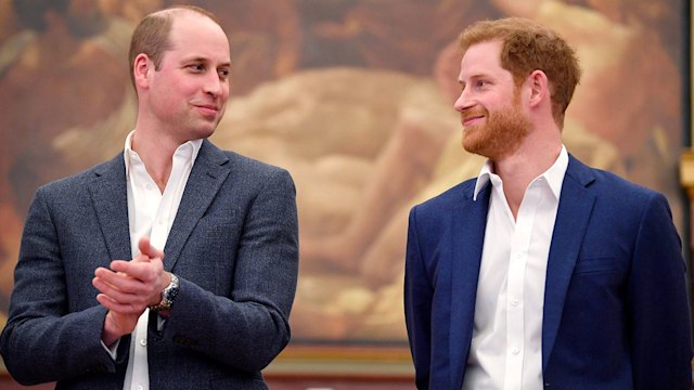 prince william and prince harry casual
