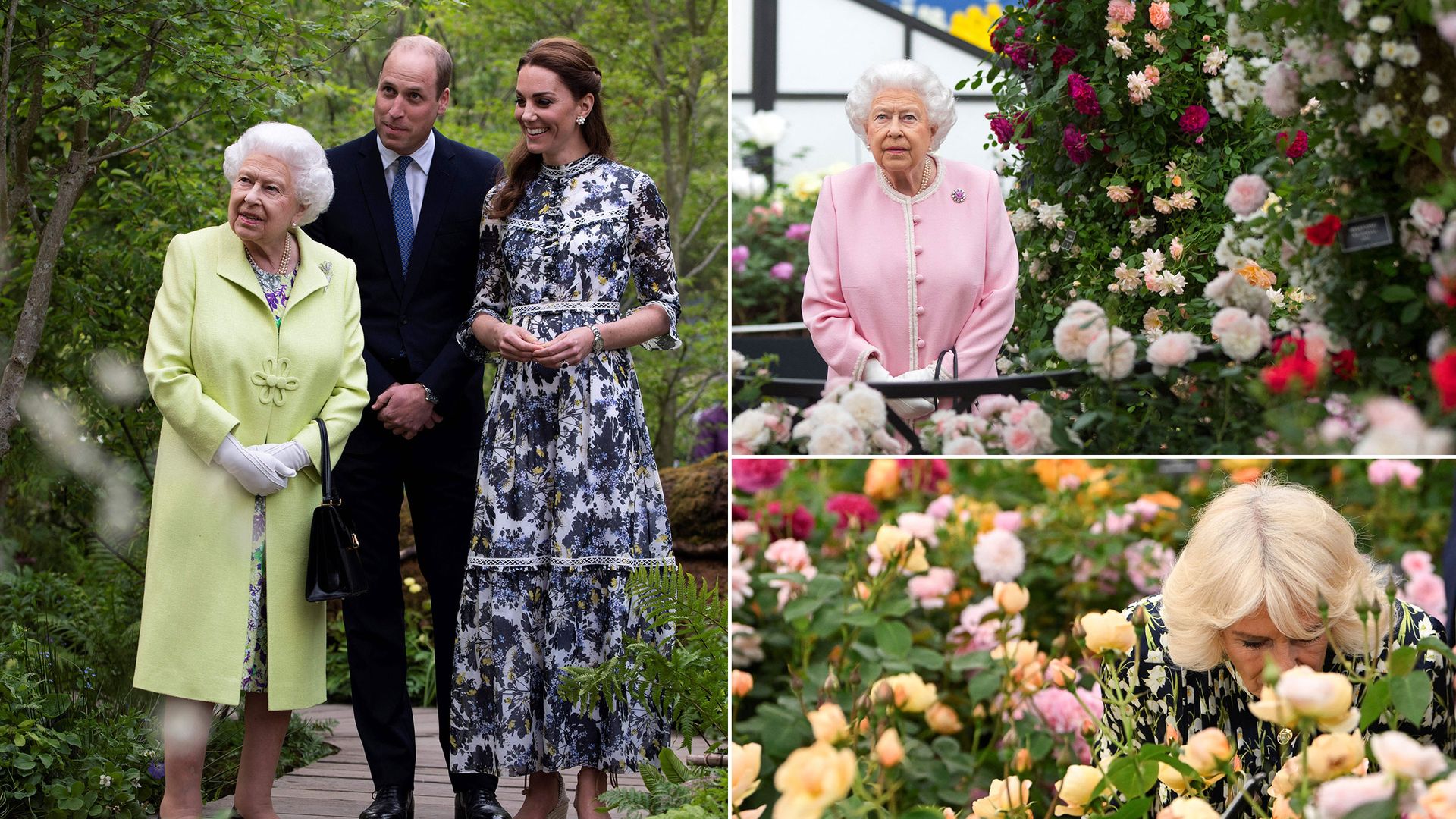 Royals at Chelsea Flower Show