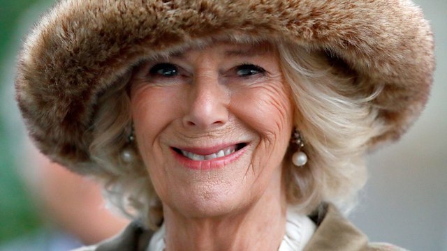 duchess of cornwall horse club