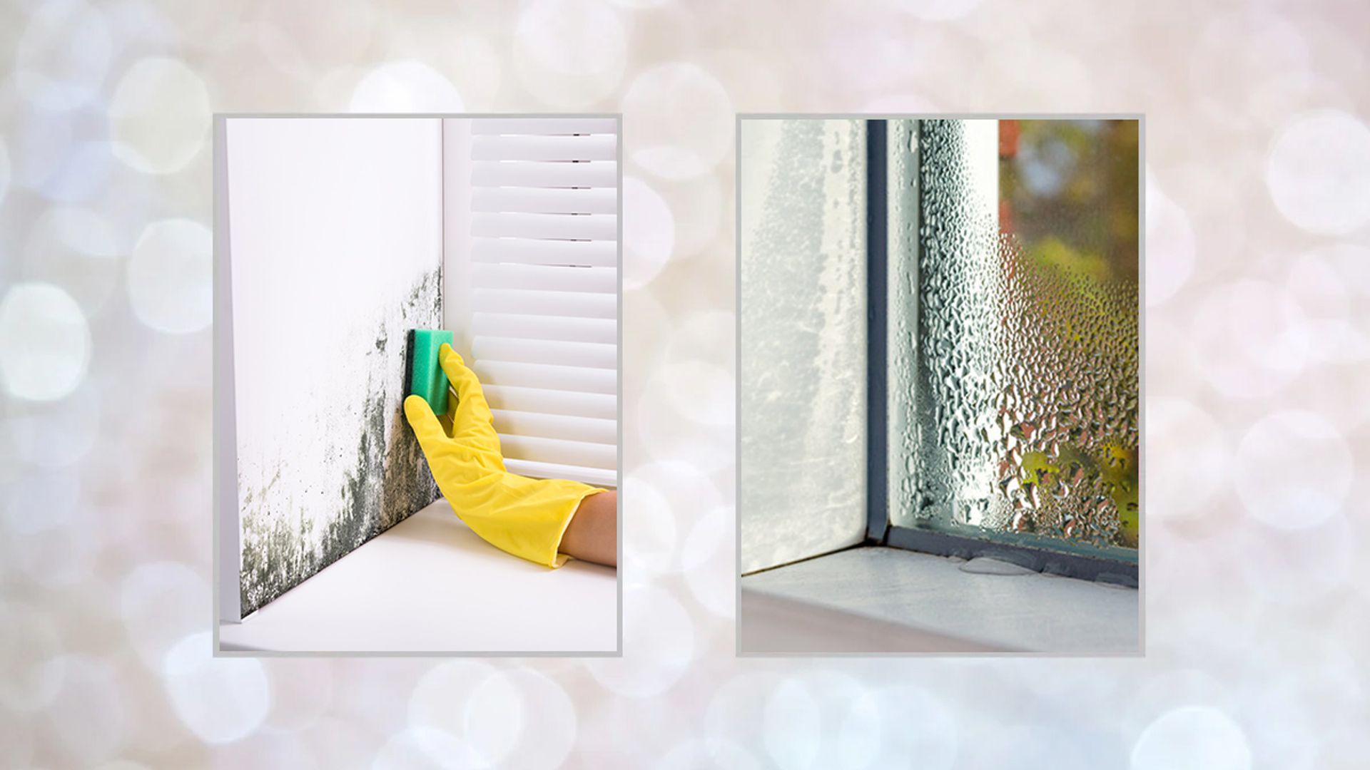 Five unusual hacks to get rid of mould and condensation on your
