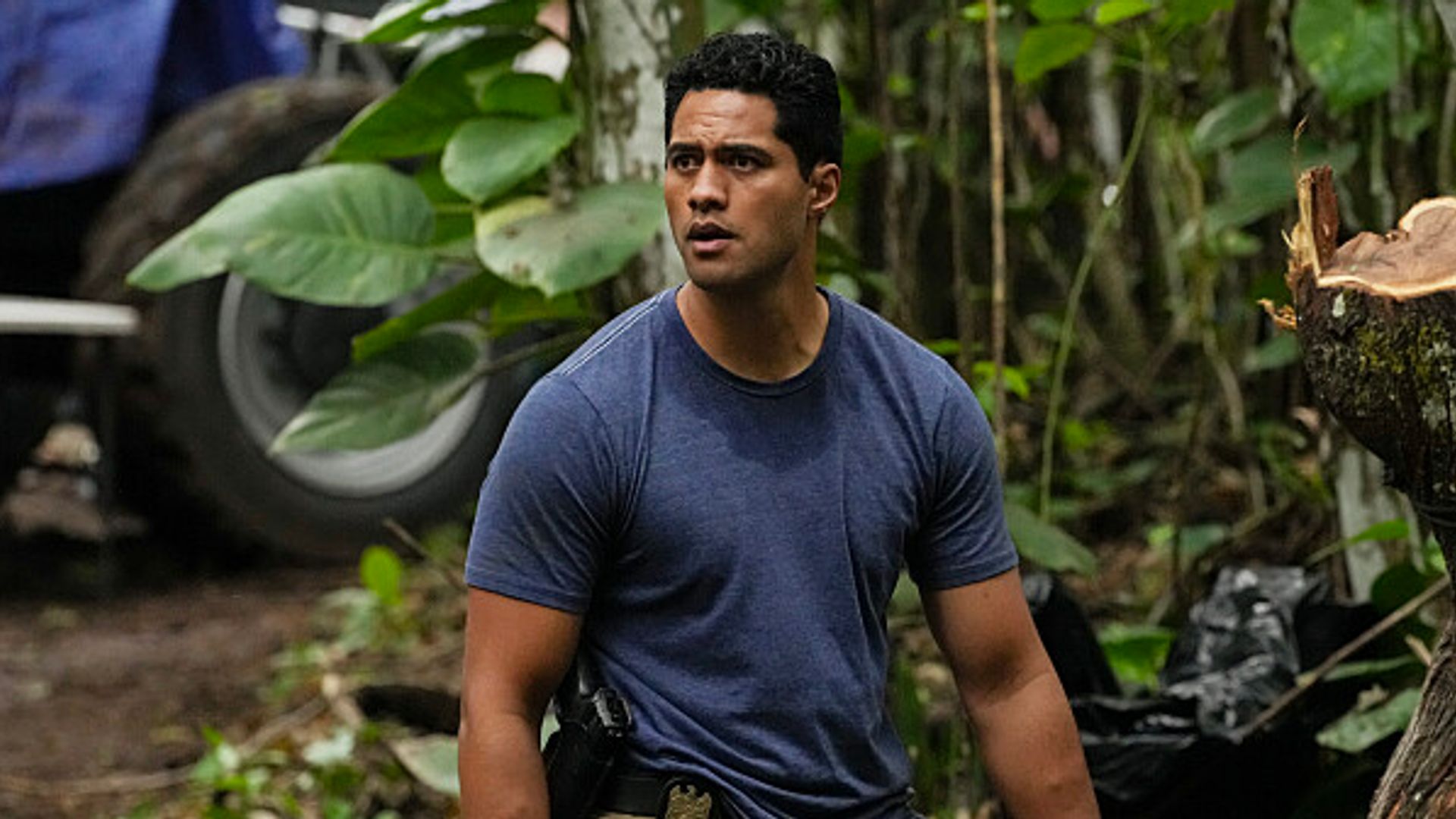 NCIS: Hawai'i star Alex Tarrant's next role after show cancellation - details