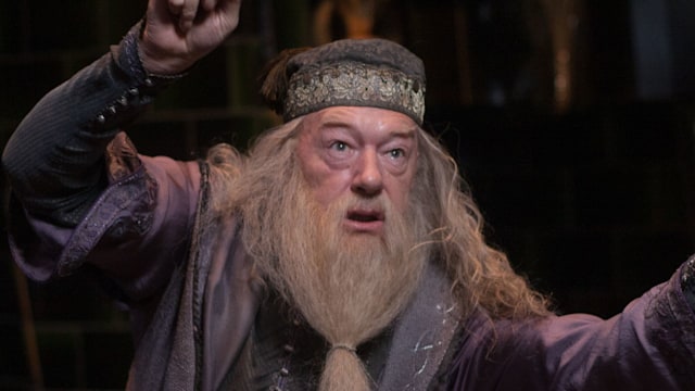 Michael Gambon as Albus Dumbledore 