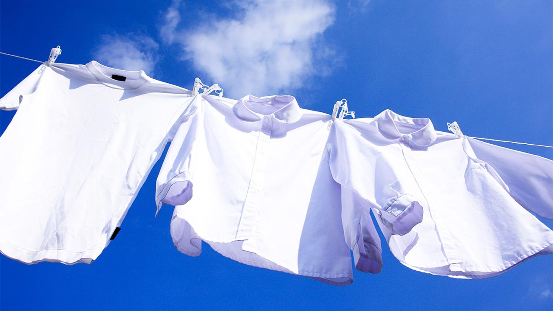 white shirts washing line