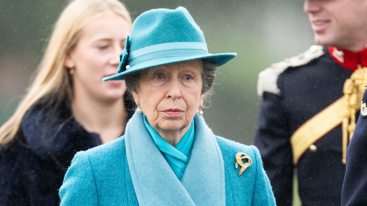 Princess Anne attends military parade solo on wedding anniversary