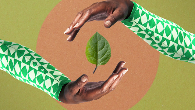 hands surrounding leaf against green background