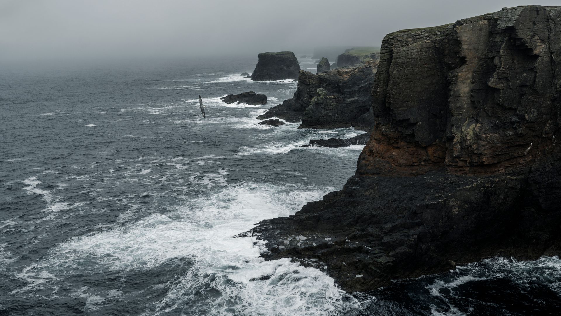 The cliffs at Eshaness on a foggy day