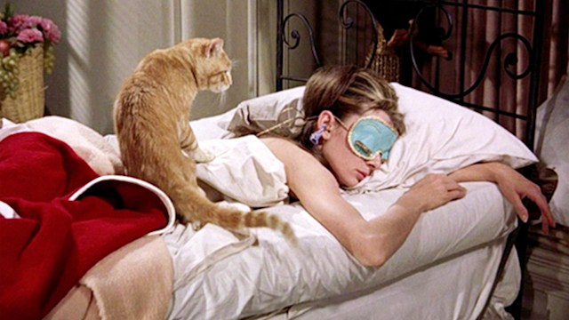  The movie "Breakfast at Tiffany's", directed by Blake Edwards and based on the novel by Truman Capote. Seen here, Audrey Hepburn as Holly Golightly and 'Cat'. 