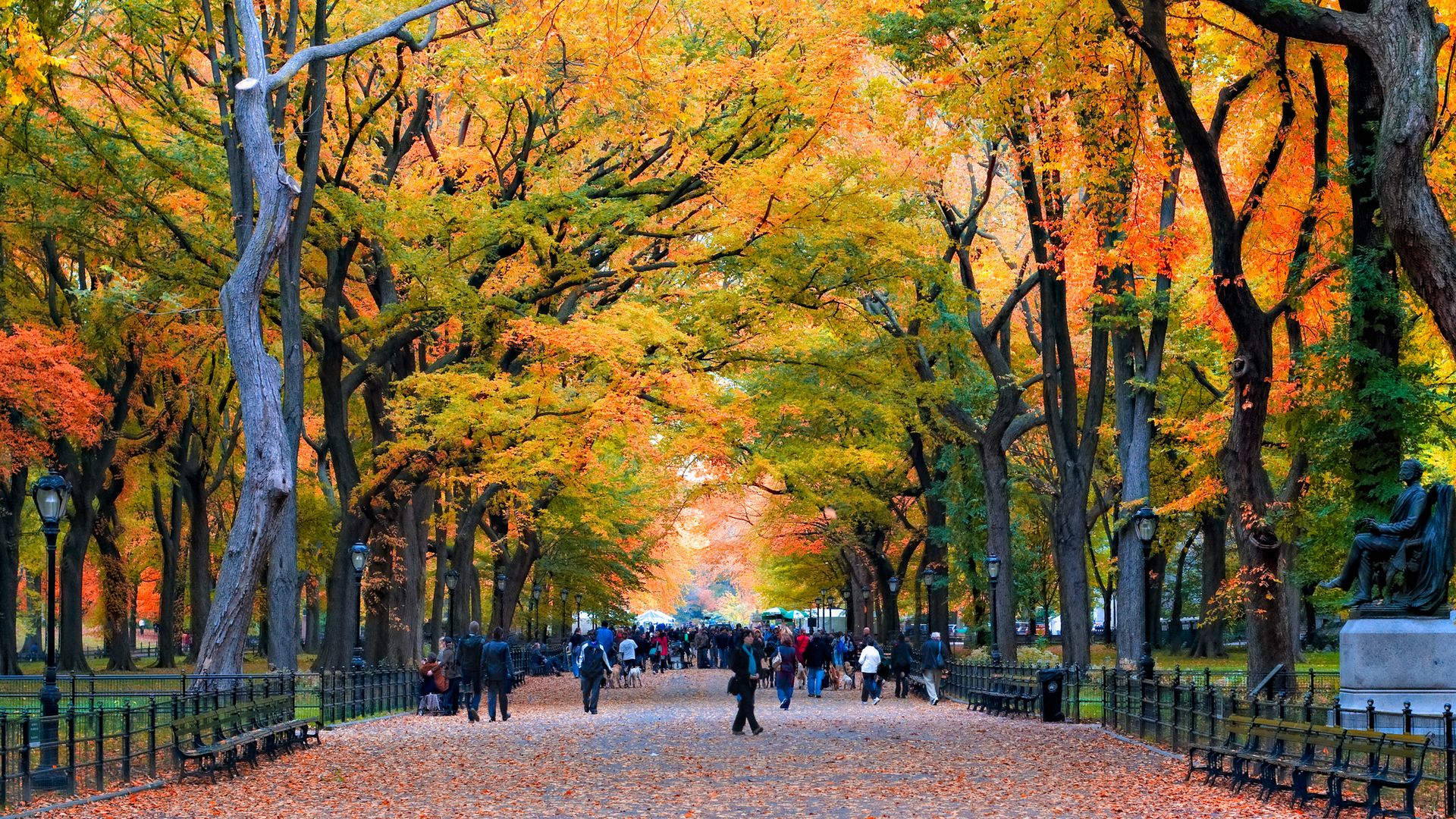 Last fall in Central Park in NY. 