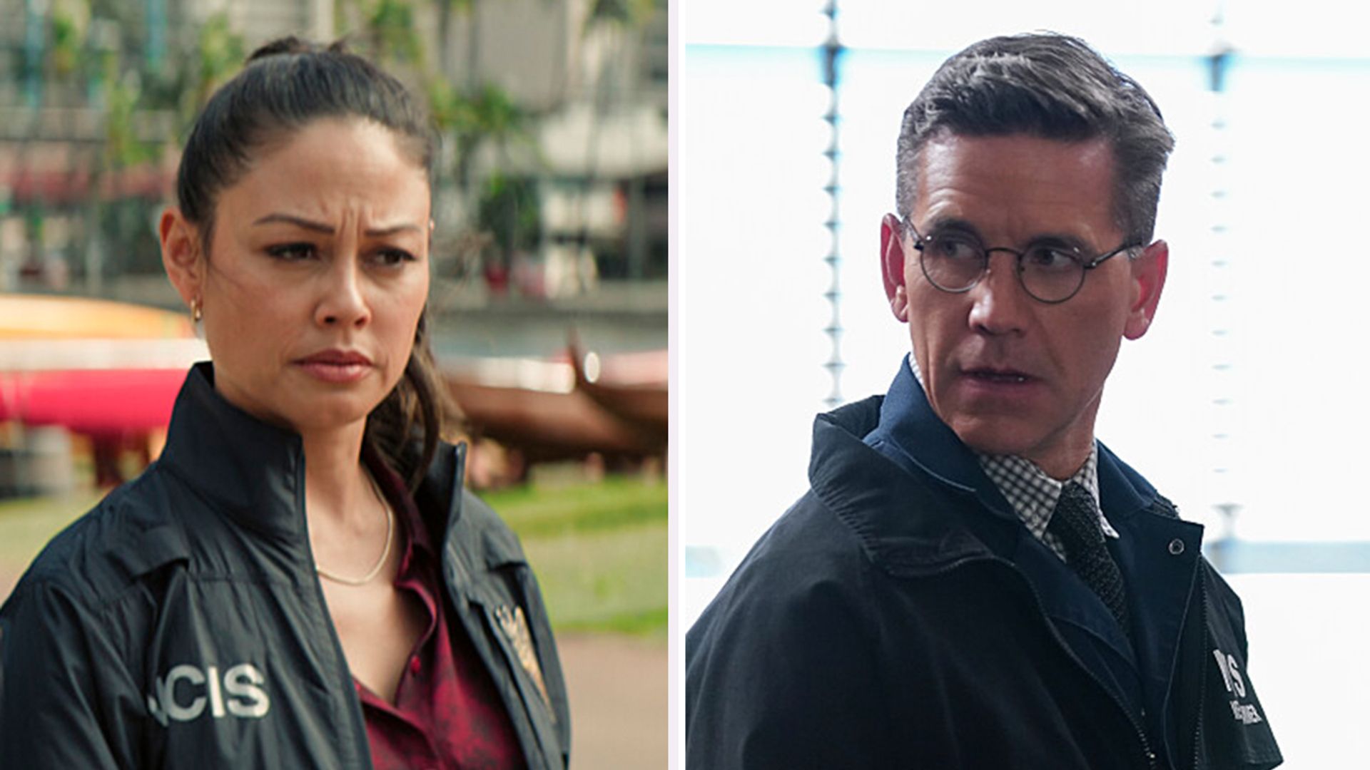 NCIS's Brian Dietzen supports Vanessa Lachey after NCIS: Hawai'i cancellation