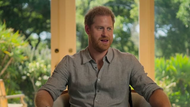 prince harry looking confused wearing shirt 